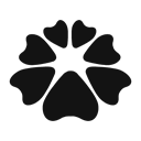 Favicon of TDR Nova